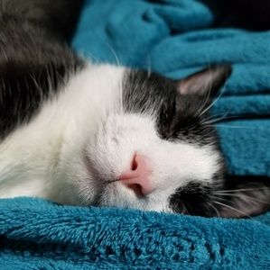 Meet your Posher, Alina